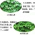 爬山虎爬藤植物庭院室内户外盆栽四季攀援爬山虎苗红色三叶爬