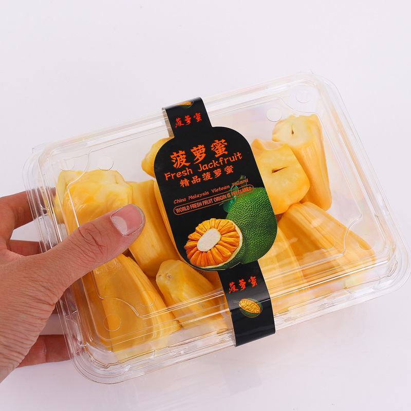 现摘发货海南菠萝蜜黄肉干苞当应季新鲜水果包邮木菠萝