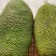 现摘发货海南菠萝蜜黄肉干苞当应季新鲜水果包邮木菠萝