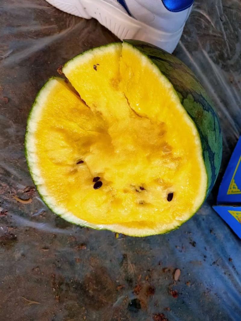 特小凤西瓜黄瓤头茬九成熟三斤打底产地直发