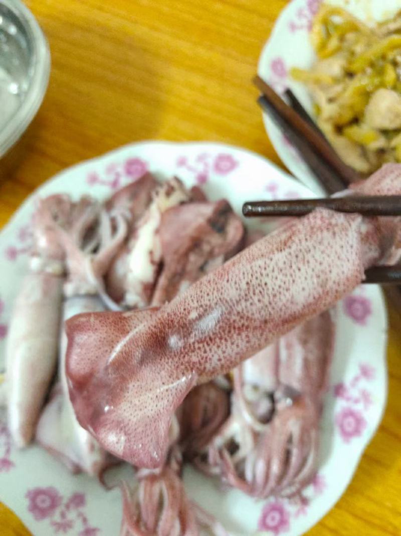 北部湾灯光鲜鱿（当晚鱿和隔晚鱿都有）