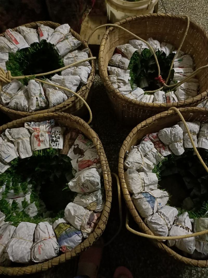 大量供应优质毛桃苗，毛桃芽苗毛桃小苗毛桃奶苗