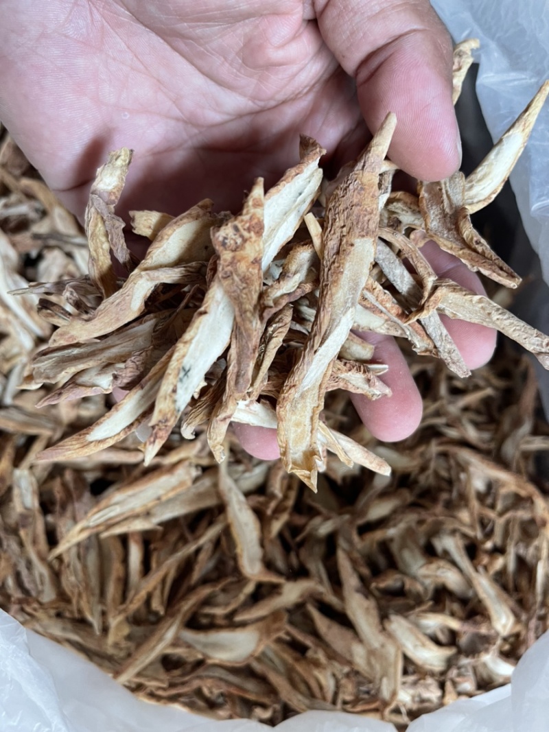 百部片子条子都有野生的量多需要老板联系我
