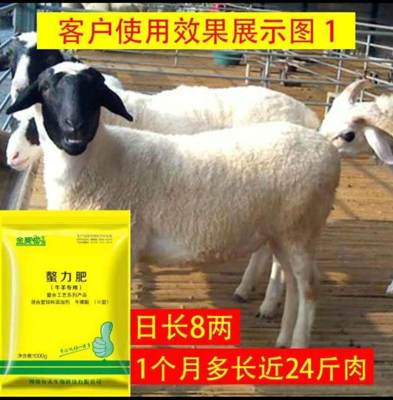 牛羊专用催肥增肥，绿色，无抗拉大骨架，减少拉稀，效果好