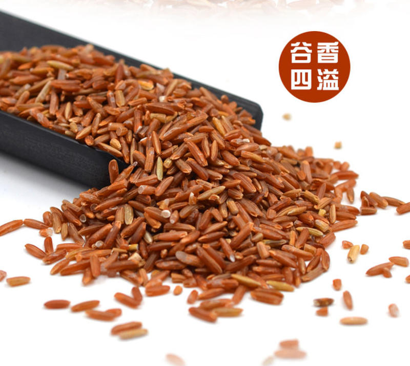 东北五常农家自产新米5斤装红米五谷杂粮吃的红米