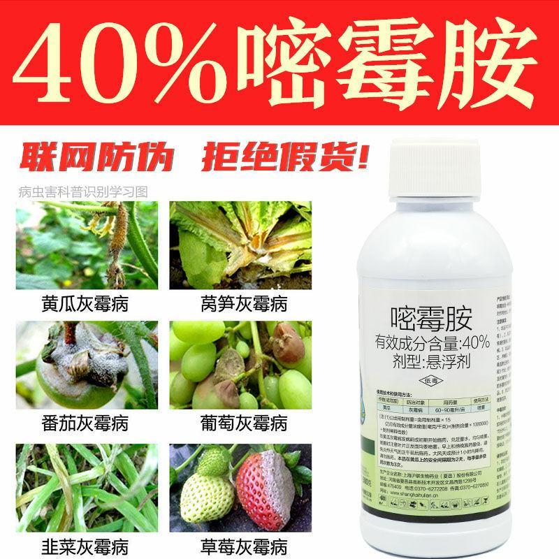 沪联灰飞40%嘧霉胺灰霉病黄瓜番茄果树蔬菜花卉杀菌剂农药