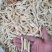 牛大力选货纯根正品牛大力2斤起批不包邮