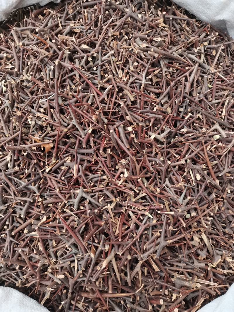 皂刺纯刺皂角刺皂荚刺天丁皂刺新货
