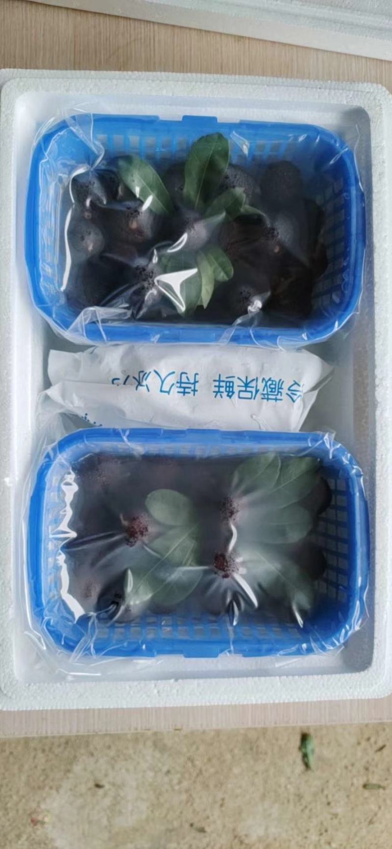 精品杨梅（产地代办）一件代发邀实力批发商电商