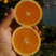 脐橙纽荷尔产地大量供应鲜果现摘现发诚信经营