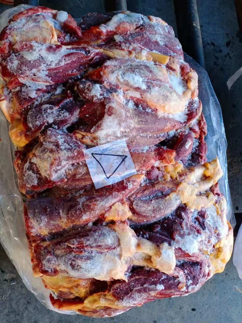 蒙古马肉四分体肋条现货出……大量供应，，一手货源