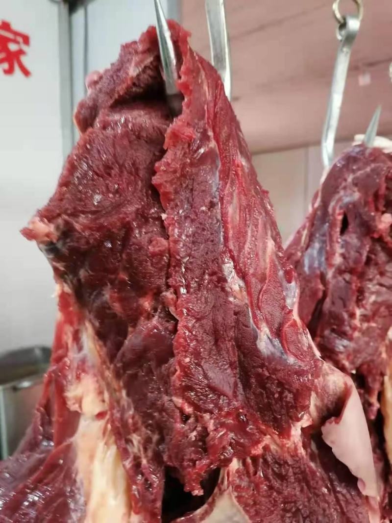 杜蒙荣辉批发带皮鲜肉，保证纯干不注水厂家直销