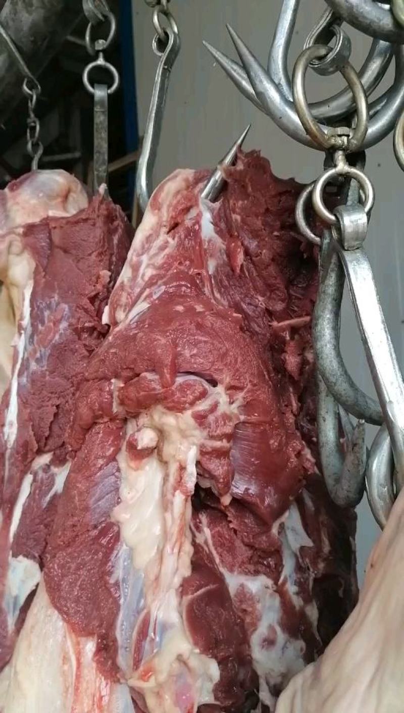 杜蒙荣辉批发带皮鲜肉，保证纯干不注水厂家直销