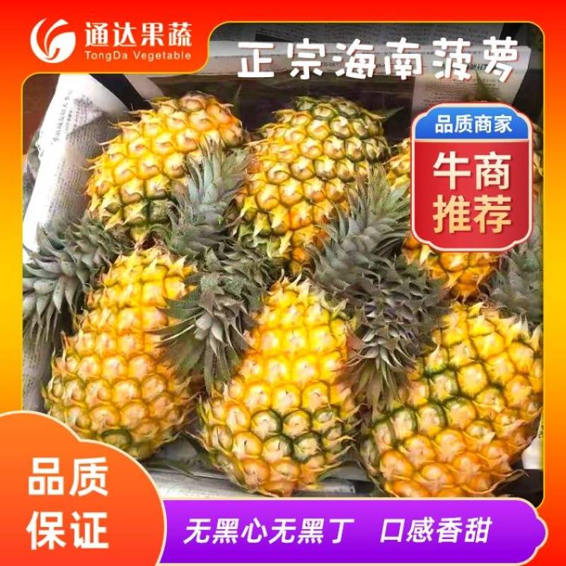 （好多多）热销海南菠萝无黑心黑丁口感香甜耐放耐运输