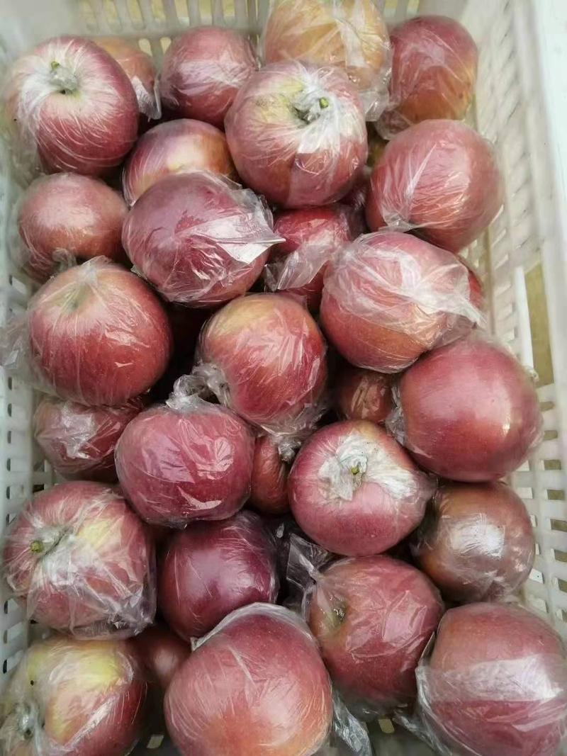 红富士苹果百万亩精品红富士膜袋光果红富士销售全国