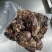 亿米特鼎峰源八分熟全牛，牛腱子大量现货出……