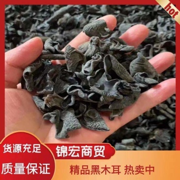 木耳，青川特产，干度质量好，泡过后肉厚，大量现货需要联系