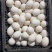 鸭蛋]、白皮鸭蛋，双黄大鸭蛋，小蛋，菜蛋，经文蛋