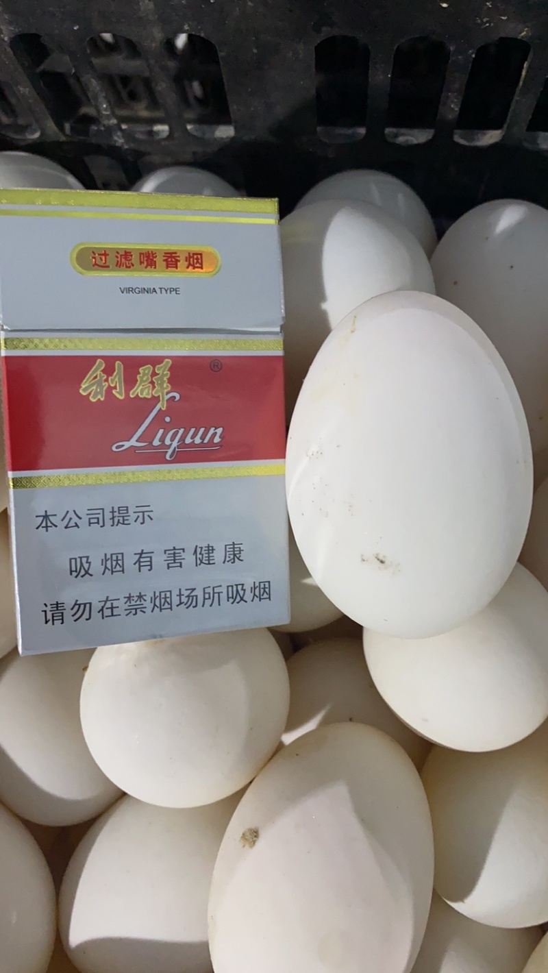 鸭蛋]、白皮鸭蛋，双黄大鸭蛋，小蛋，菜蛋，经文蛋