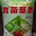 育苗基质，多肉育苗土，花卉育苗，林木育苗土厂家直销