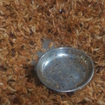 炸虾油焖虾麻辣炸虾