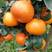 优质重庆长寿晚熟柑橘默科特大量上市欢迎咨询下单