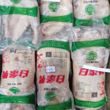 大白条鸭1.9-21白条鸭4.7-4.9白条鸭价格优惠