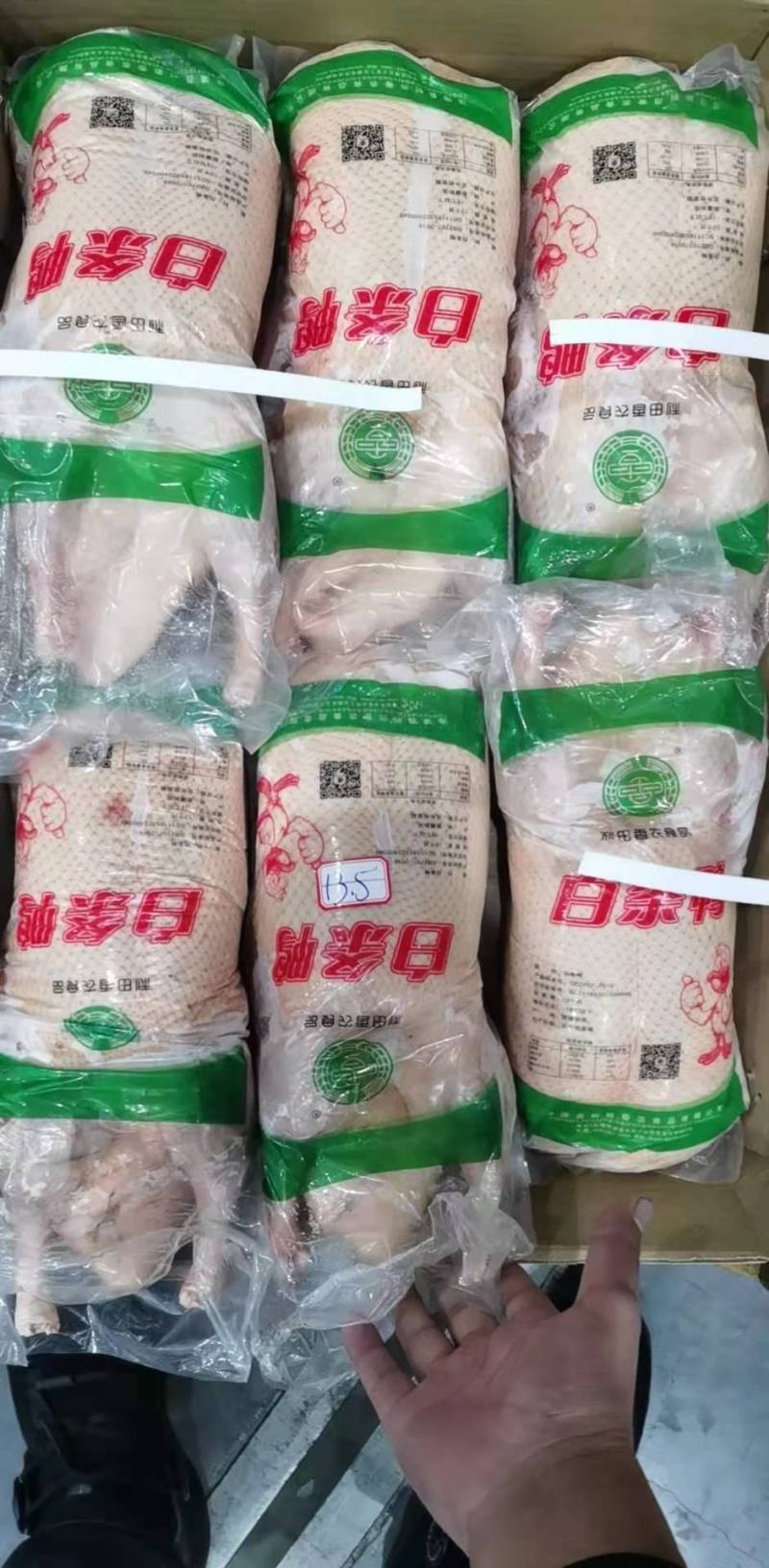 大白条鸭1.9-21白条鸭4.7-4.9白条鸭价格优惠