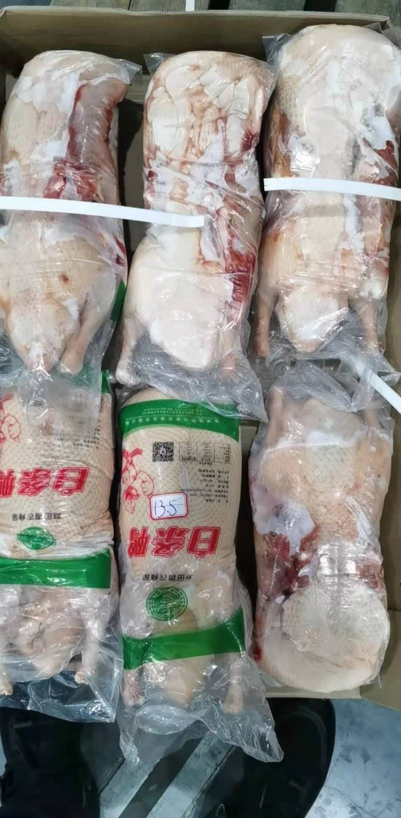 大白条鸭1.9-21白条鸭4.7-4.9白条鸭价格优惠