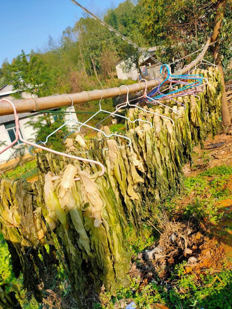 湖南正宗乡里坛子菜多种食用方法餐桌搭配更佳欢迎电话联系