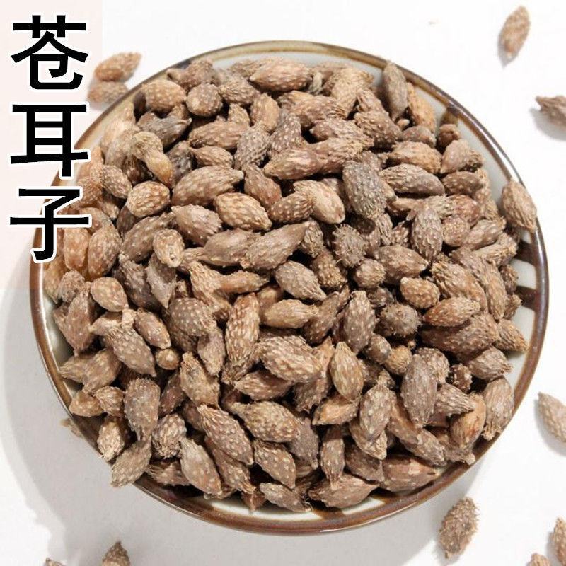 野生去刺苍耳子成熟带刺苍耳炒苍耳苍耳粉中药材新货