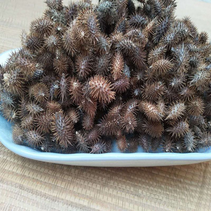 野生去刺苍耳子成熟带刺苍耳炒苍耳苍耳粉中药材新货