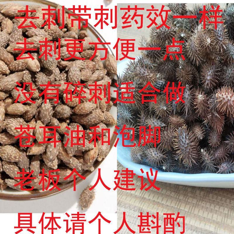野生去刺苍耳子成熟带刺苍耳炒苍耳苍耳粉中药材新货