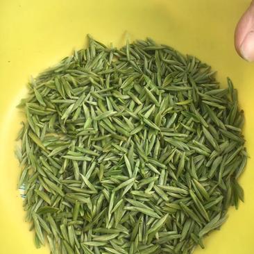 河北苍州五峰芽茶新品上市中，品质保证，明前茶好货源保证