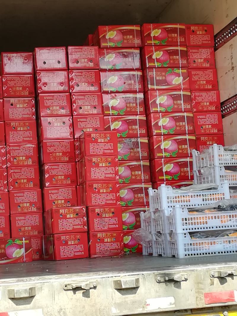 水果出口卖货到香港国外代理