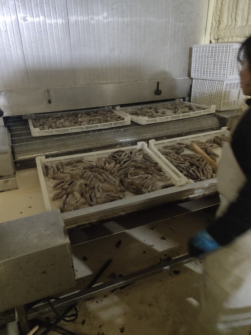 深海大乌参，土耳其米刺、既食刺参、辽参、红极参……
