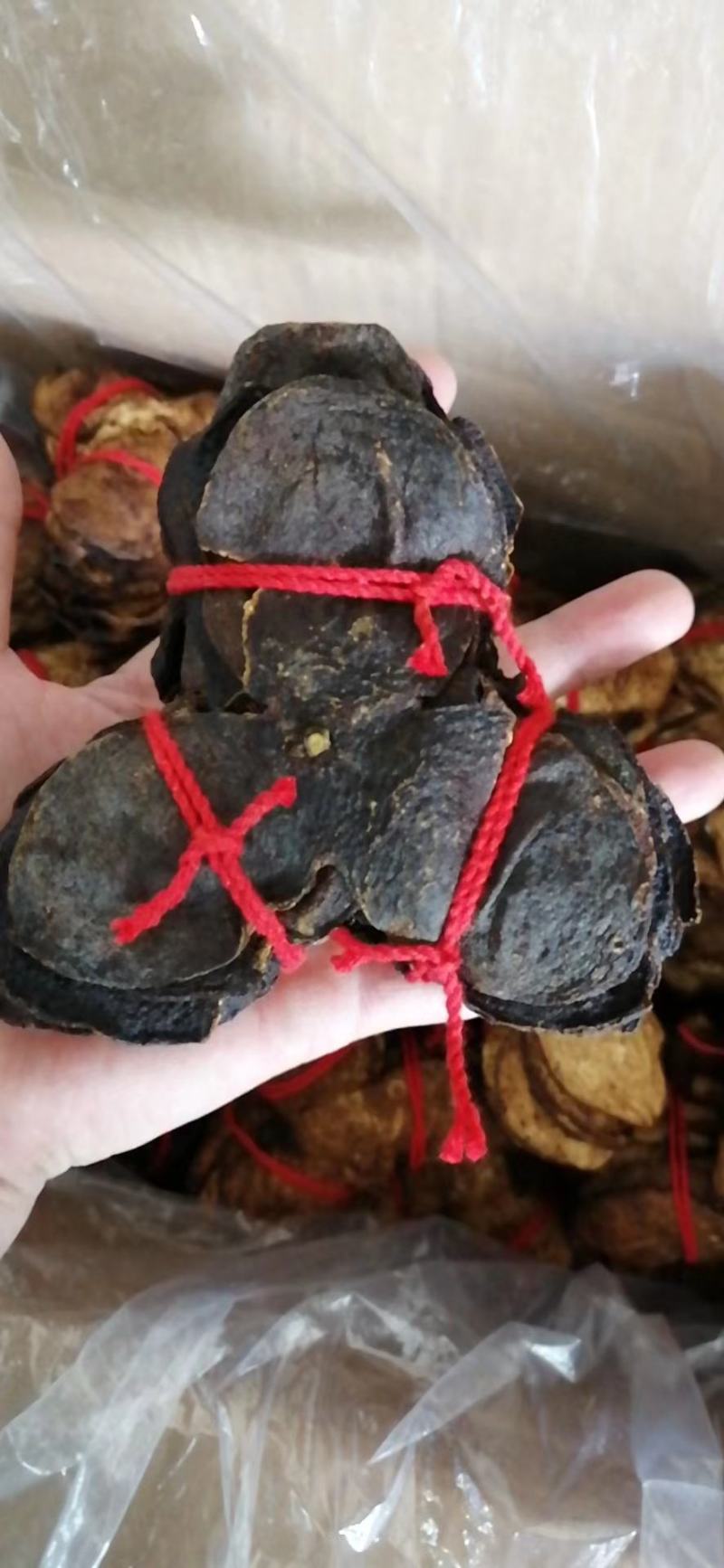 陈皮为芸香科植物橘和他的栽培变种的干燥的成熟果皮