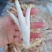 鸡爪，个大肉厚带筋的，质量保证，价格便宜，需要联的联系！
