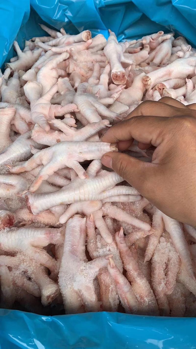 鸡爪，个大肉厚带筋的，质量保证，价格便宜，需要联的联系！