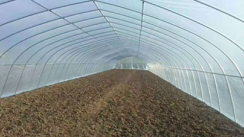 大棚种植蔬菜棚养殖保温棚连体棚