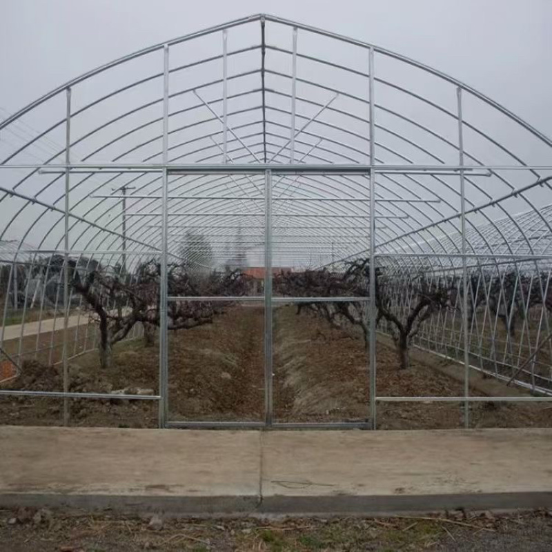 大棚种植蔬菜棚养殖保温棚连体棚