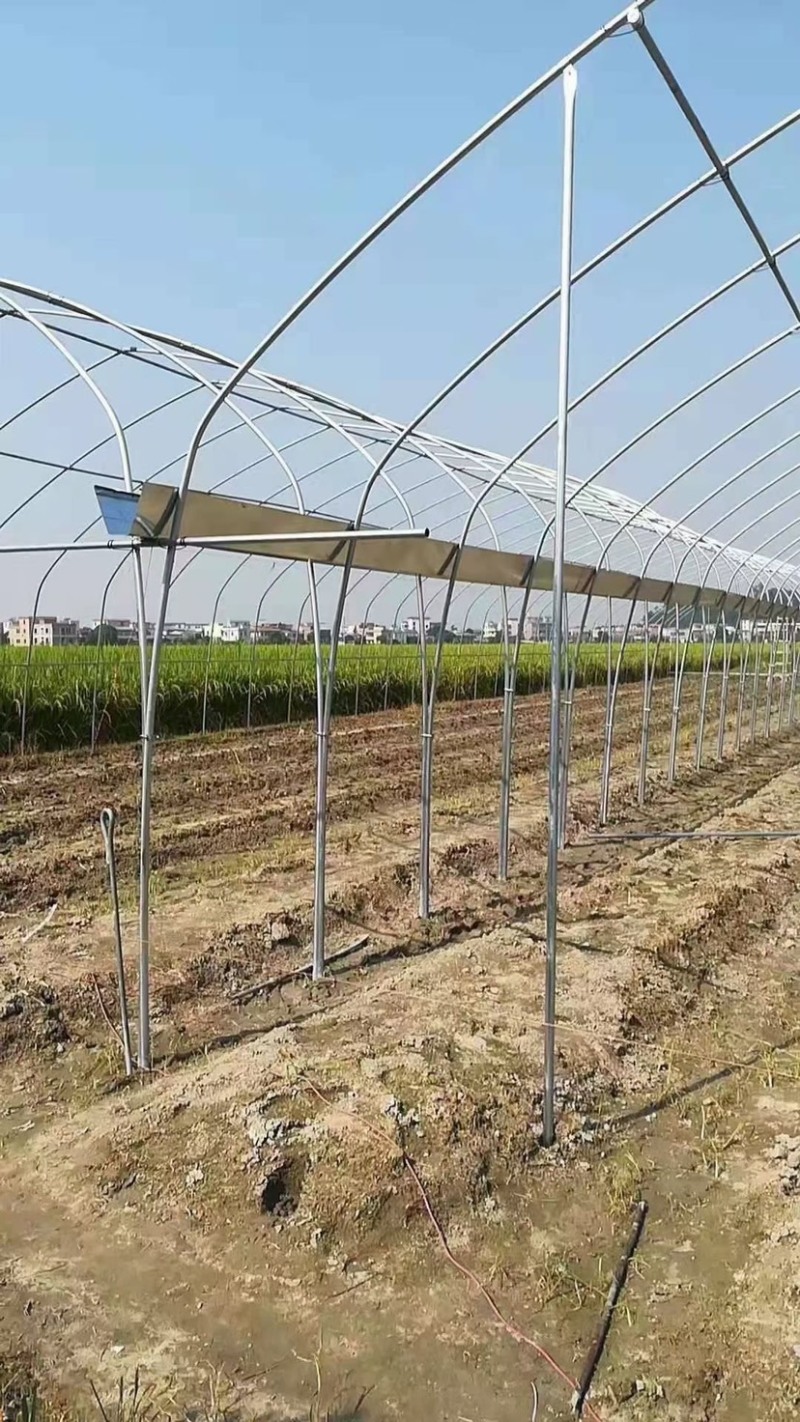 大棚种植蔬菜棚养殖保温棚连体棚