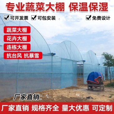大棚种植蔬菜棚养殖保温棚连体棚