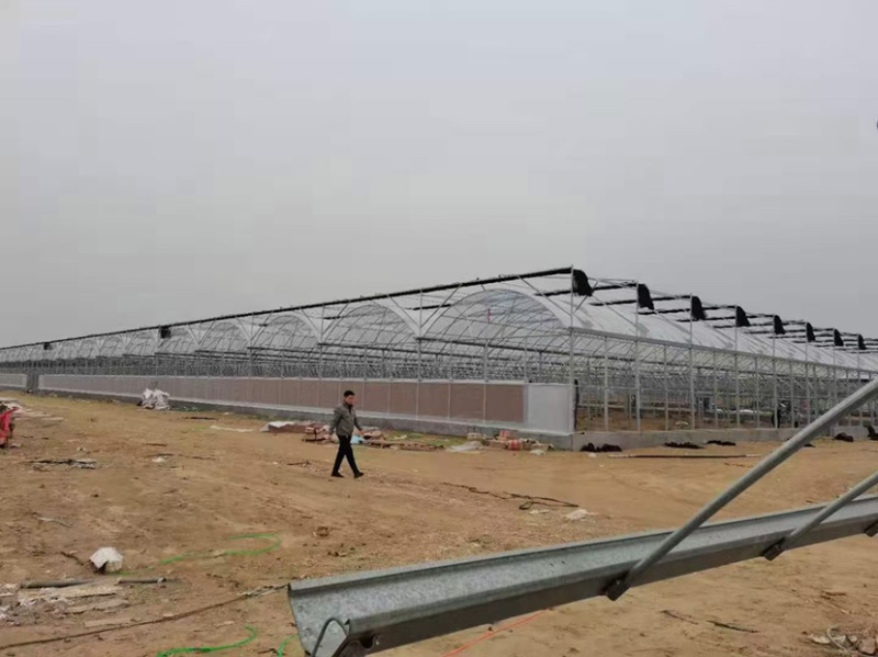 大棚种植蔬菜棚养殖保温棚连体棚