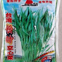 台湾空心菜种子，产量丰高，品质优良，一袋5斤，购买请联系