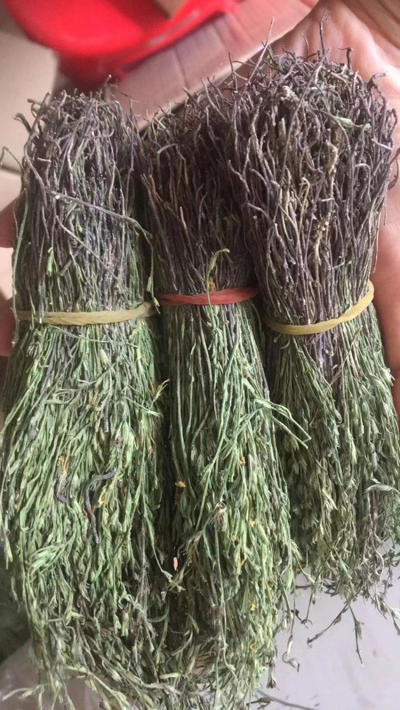 独脚金，颜色绿，干度好，一手货源，长期有货