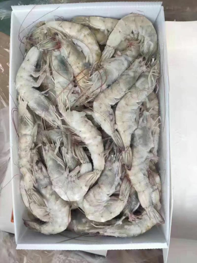 桑塔白对虾盐冻块冻六证齐全，全国发货，可走零单，整柜出