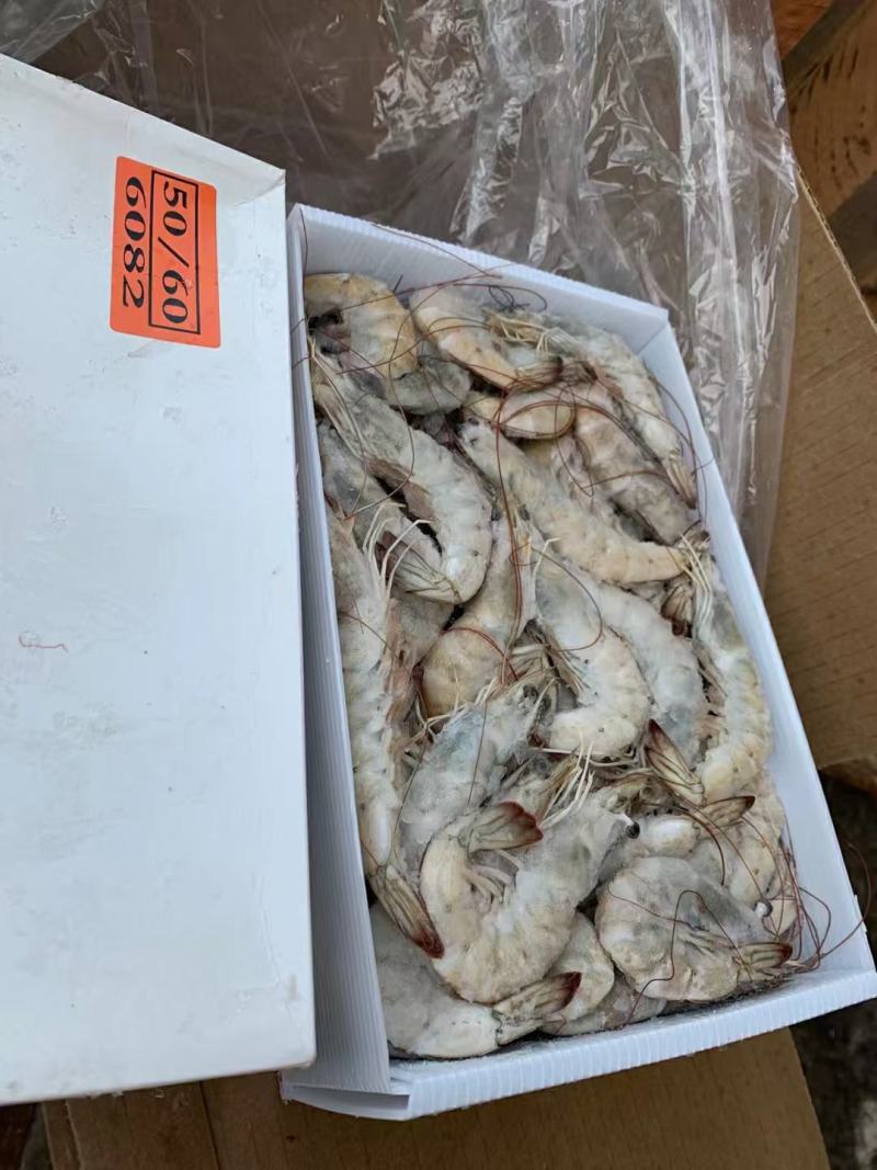 桑塔白对虾盐冻块冻六证齐全，全国发货，可走零单，整柜出