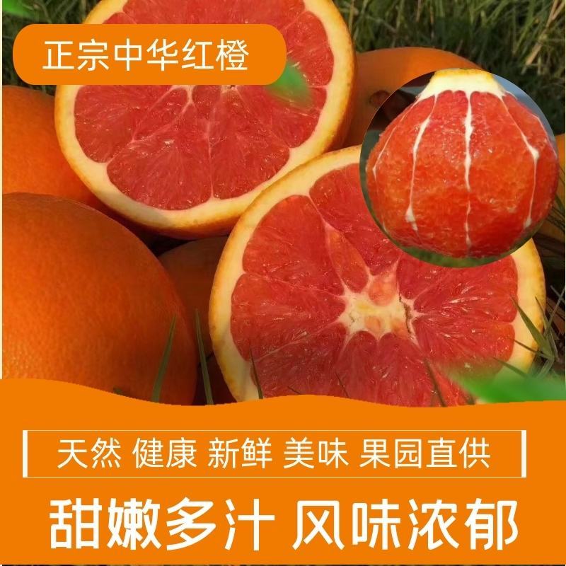 【橙子】血橙，中华红橙，皮薄多汁量大从优坏果包赔
