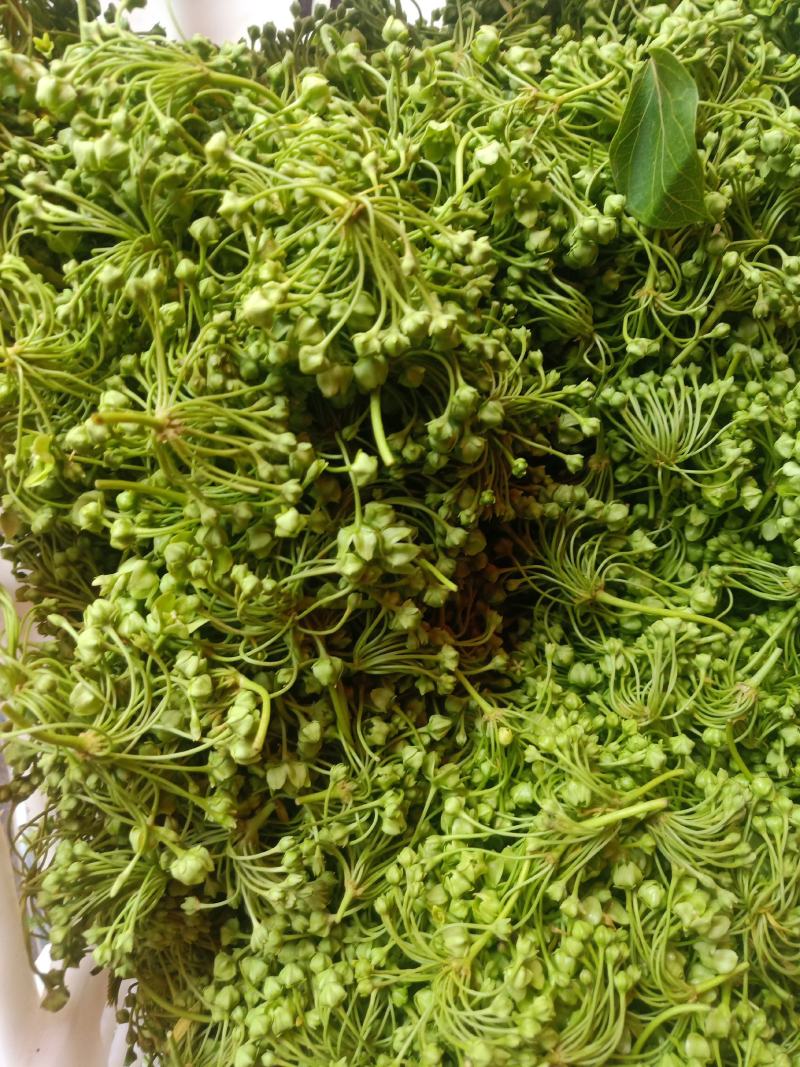 云南普洱苦藤花、苦凉花_素炒、炒肉、煎鸡蛋